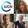 IUCN Candidates for the Presidency