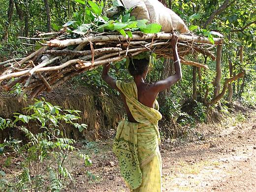 Woman carrying wood and leaves